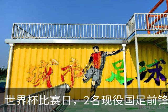 世界杯比赛日，2名现役国足前锋集体向C罗示“爱”