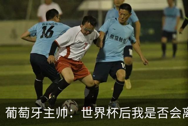 葡萄牙主帅：世界杯后我是否会离任？现在重要的是专注于世界杯